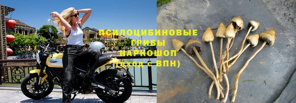 ешки Арсеньев